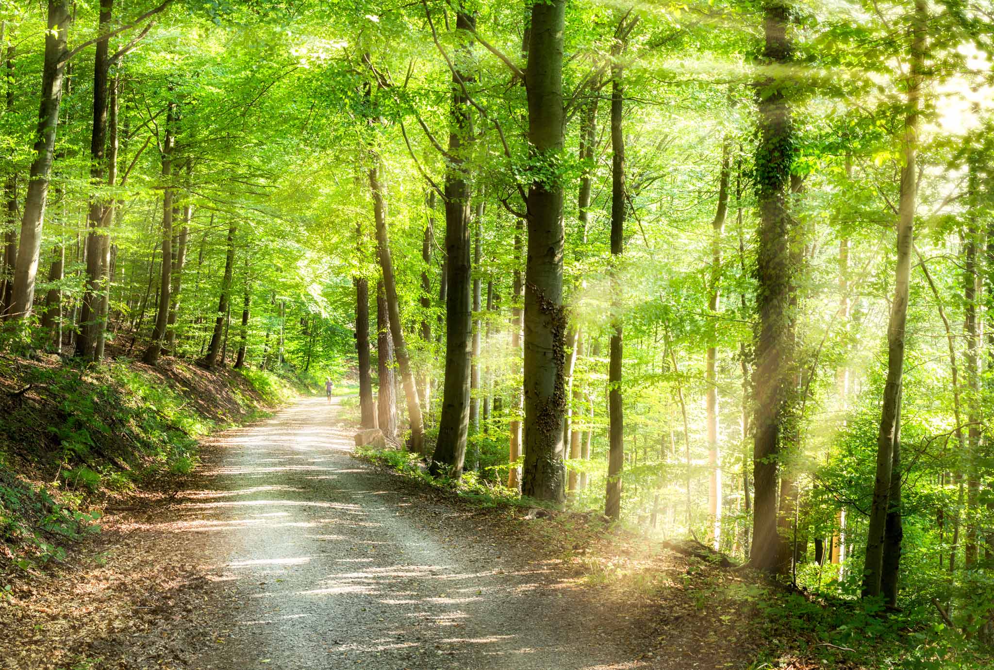 Individuelle Beratung für ein erfüllteres Leben